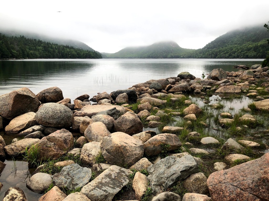 Rocks in Acadia National Park