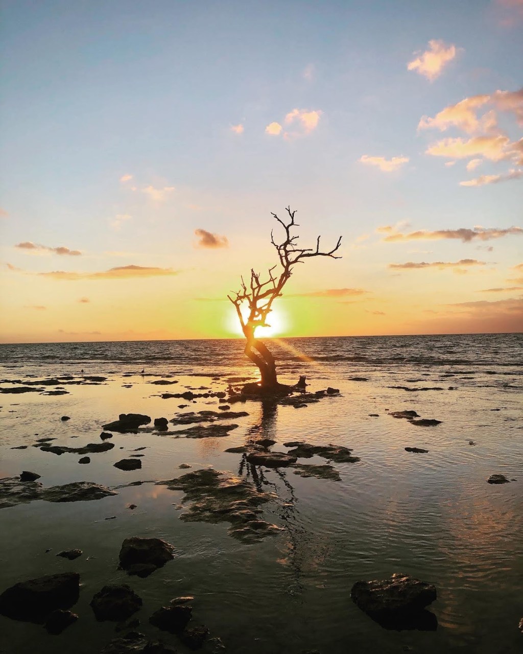 Dream Jurnal Entry&nbsp;003