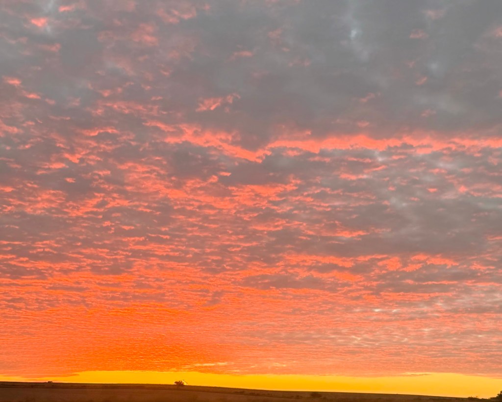 Dream Jurnal Entry&nbsp;008